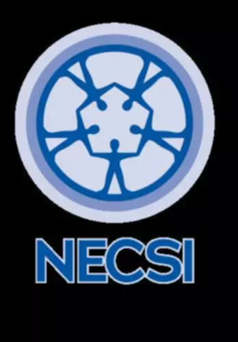 DevEducation в сотрудничестве с NECSI откроет онлайн-курс по сложным системам