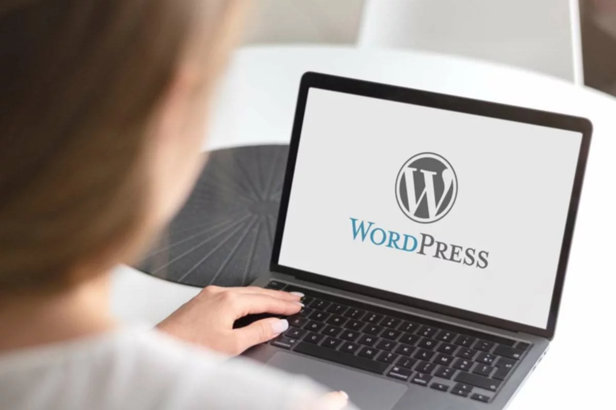 Инструкция по работе с WordPress: что это такое и как им пользоваться?